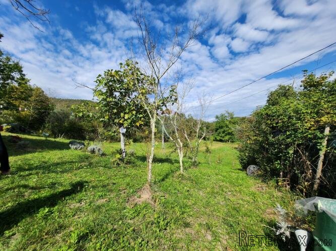 Istra, Buzet, Sovinak - ne građevinsko zemljište 25,70 ha - 3