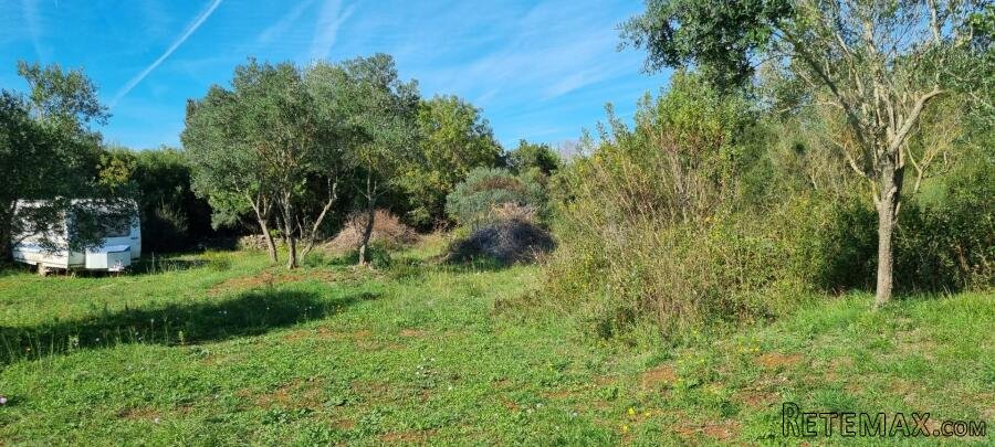 Istra, Rovinj poljoprivredno zemljište 1574m2 - 3