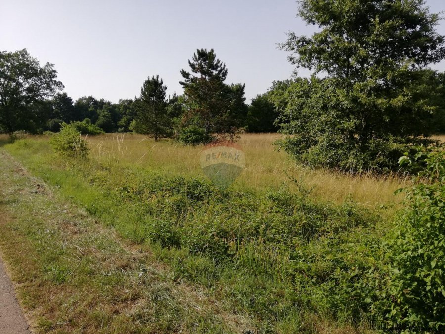 Istra, Tinjan, poljoprivredno zemljište 3274 m2 - 3