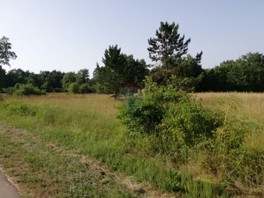 Istra, Tinjan, poljoprivredno zemljište 3274 m2 - 4