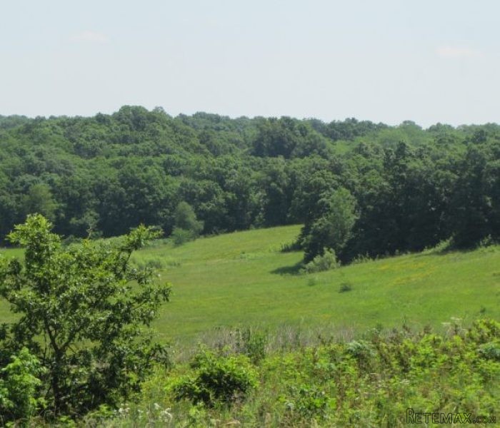 PRICE REDUCED: 614 +/- Acres Northern..