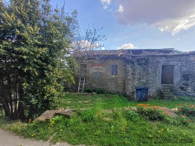 Istra, Momjan - autohtona starina - 2