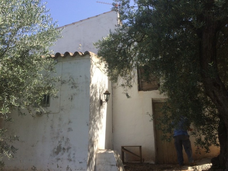 3 bedroom, 1 bathroom Finca/Country.. - 2