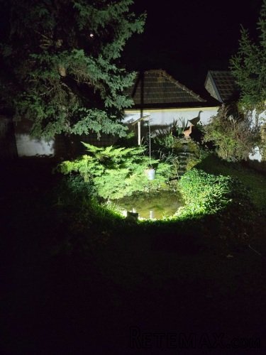 Retka prilika-prodaja kuce u Novom Sadu - 8