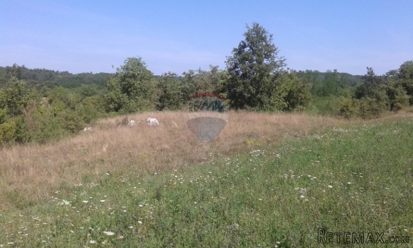 Gračišće, poljoprivredno zemljište u okolici Gračišća