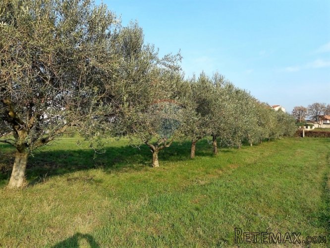 POREČ:Samostojeća kuća 3km Od Grada Poreča - 3