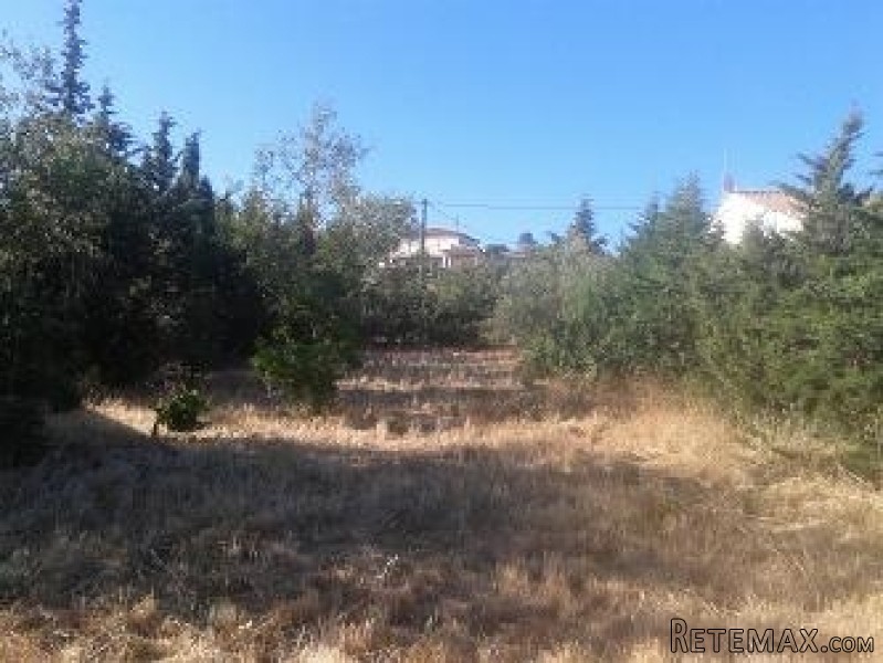 Land - Languedoc-Roussillon - For Sale - 2