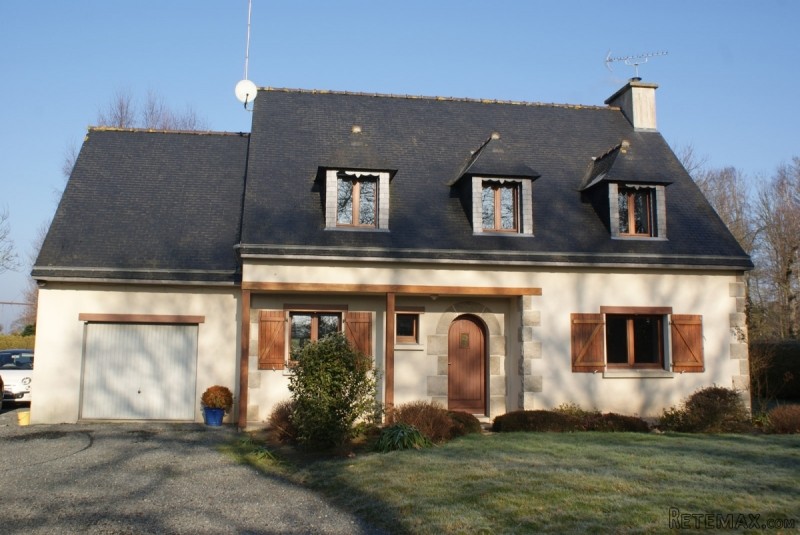 Nice Detached Neo-Breton House