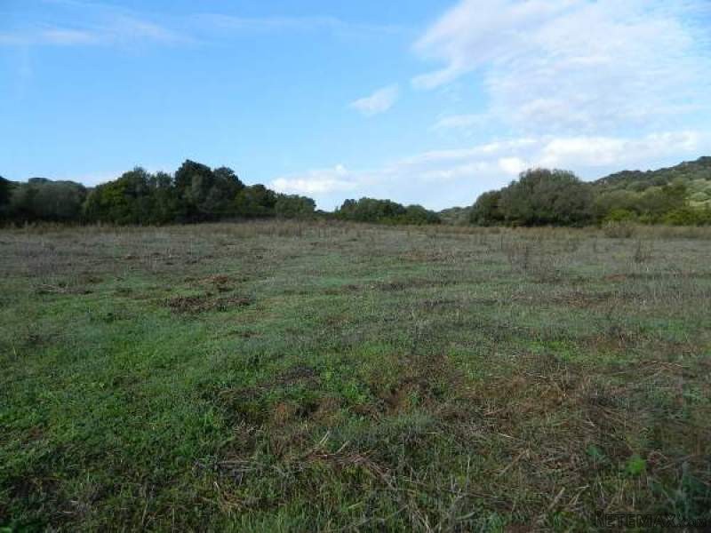 Country land for sale near Arzachena -.. - 2