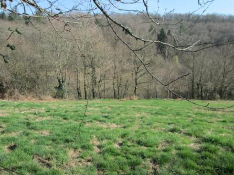 Nice Detached House with Land - 2