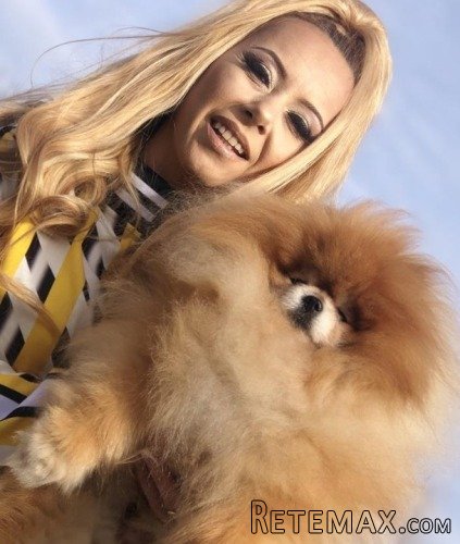 Pomeranski špic,Pomeranac,Pomeranian,Boo štenci - 3