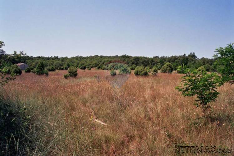 Istra,okolica Rovinja, zemljište 25117m2 - 3