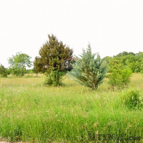 Istra, poljoprivredno zemljište sa idejnim projektom 22289m2 - 4