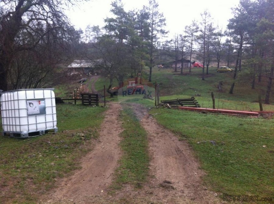 RUPA - 15.789 m2 NEGRAĐEVINKO ZEMLJIŠTE