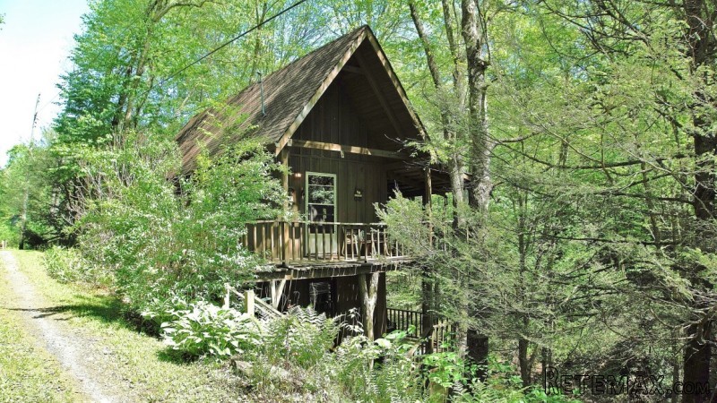 Secluded NC Creekside Vintage Cabin