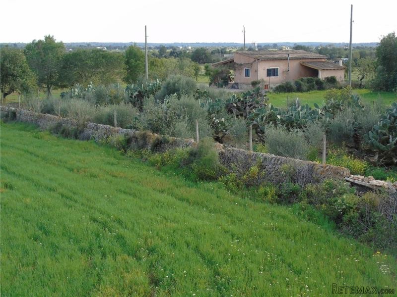 Country House (Cortijo) For Sale In.. - 2