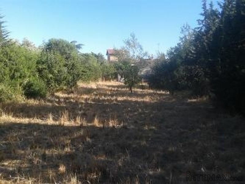 Land - Languedoc-Roussillon - For Sale