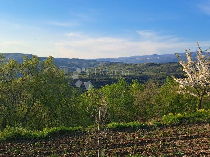Poljoprivredna zemljišta u Račiškom Brijegu - 3