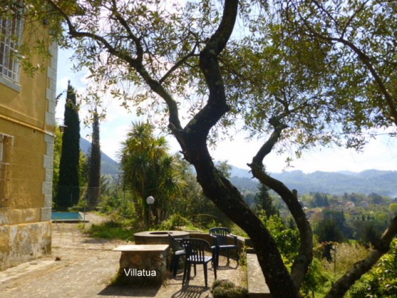 Liberty Villa (1900s) - For Sale - -..