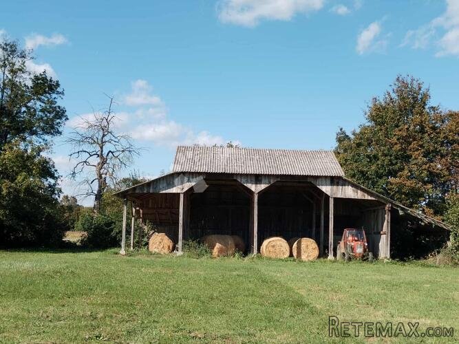 Veliko imanje 39.323 m² – mir, priroda i potencijal! - 2