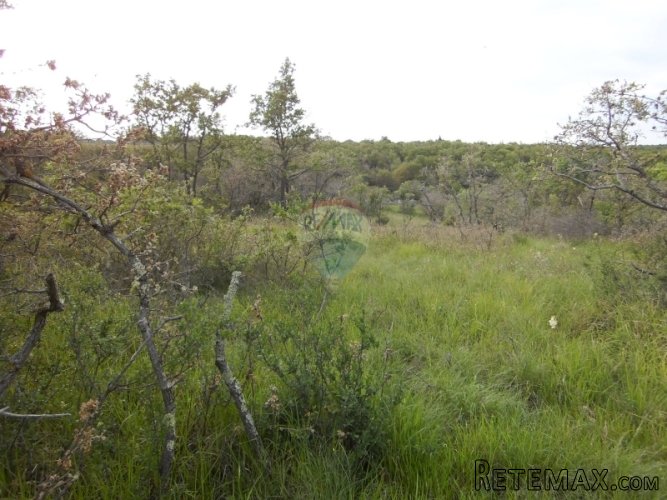 GAJANA, poljoprivredno zemljište od 5240 m2 - 2