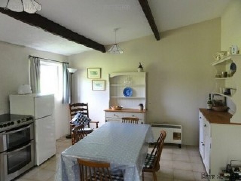 2 houses + stone barn in a hectare with.. - 2
