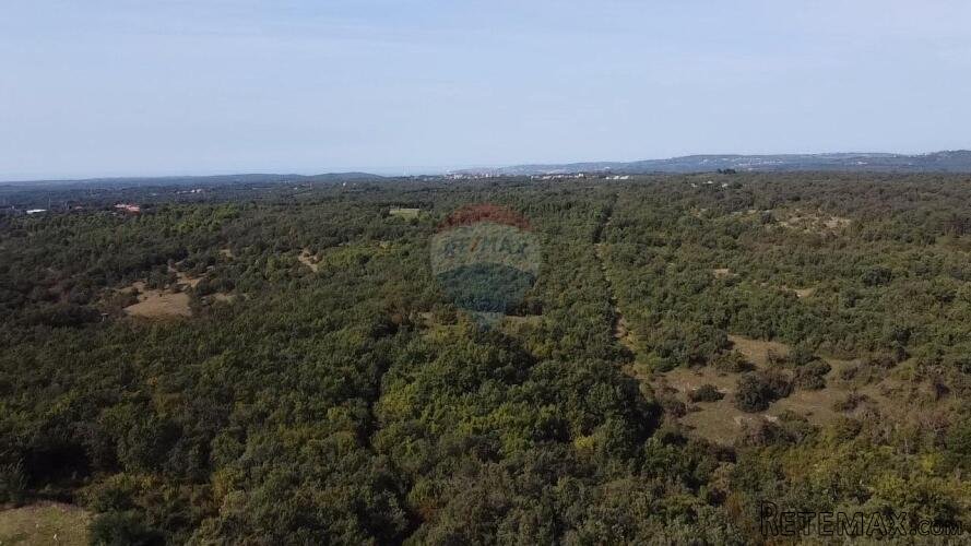 Buje okolica, poljoprivredno zemljište 126151 m2 - 2