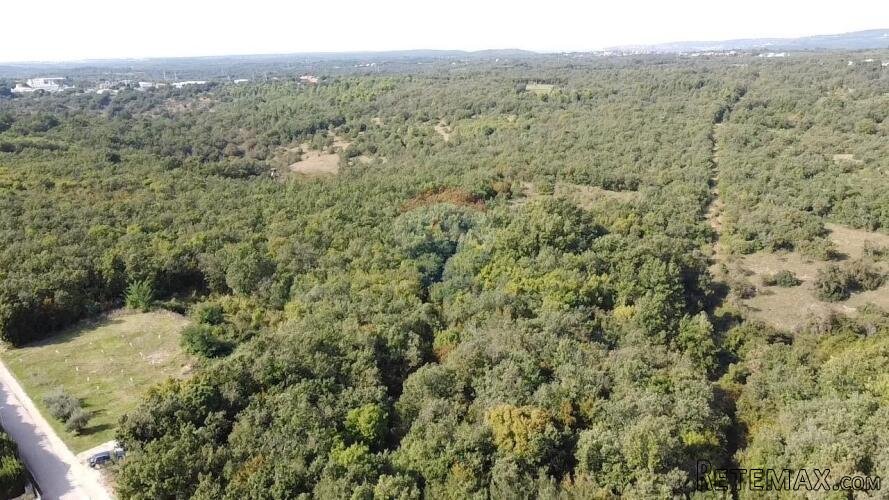 Buje okolica, poljoprivredno zemljište 126151 m2 - 4