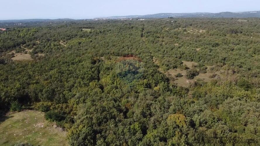 Buje okolica, poljoprivredno zemljište 126151 m2 - 5