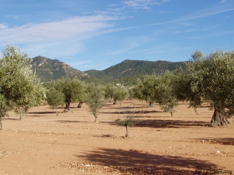 - Land - Alicante - For Sale