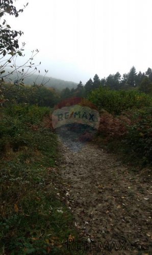 Plemenitaši poljoprivredno zemljište