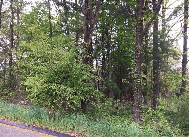 Land For Sale: Dellwood Ardsley NY 10502 - 2