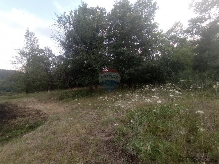 Vrbovsko, Trnova Poljana, poljoprivredno zemljište 5947 m2 - 2