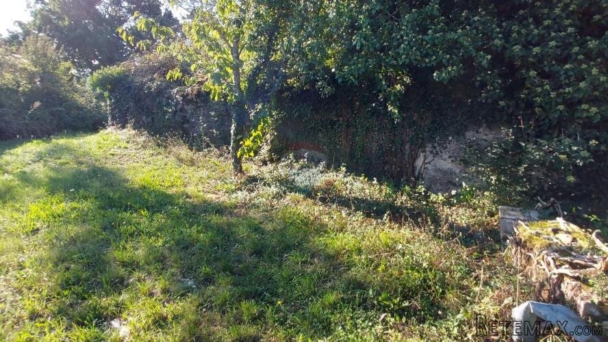 GRAČIŠĆE, okolica - stara kamena kuća sa 6880 m2 dvorišta - 2