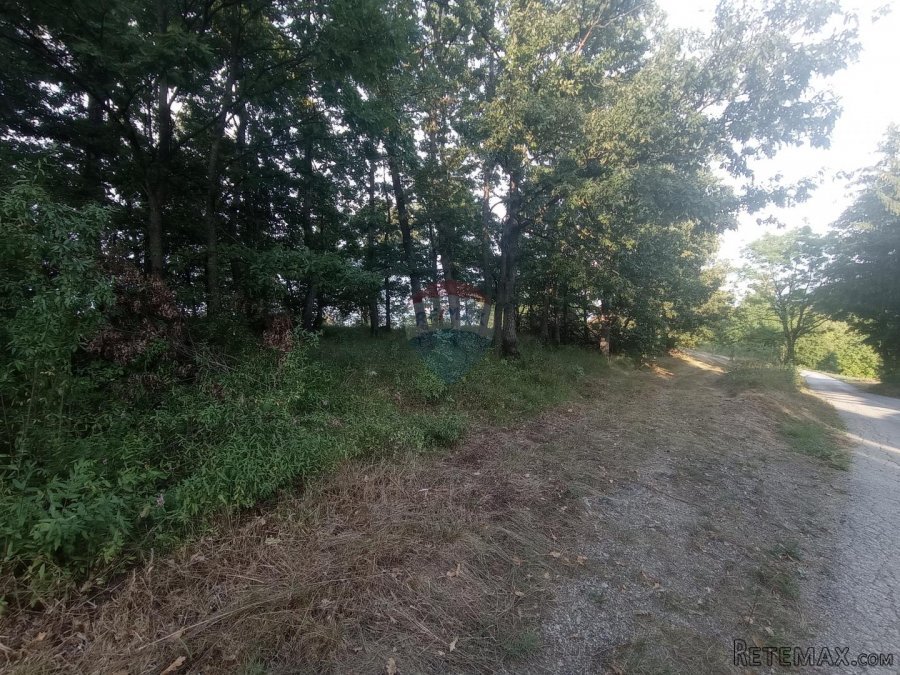 Vrbovsko, Trnova Poljana, poljoprivredno zemljište 5947 m2 - 3