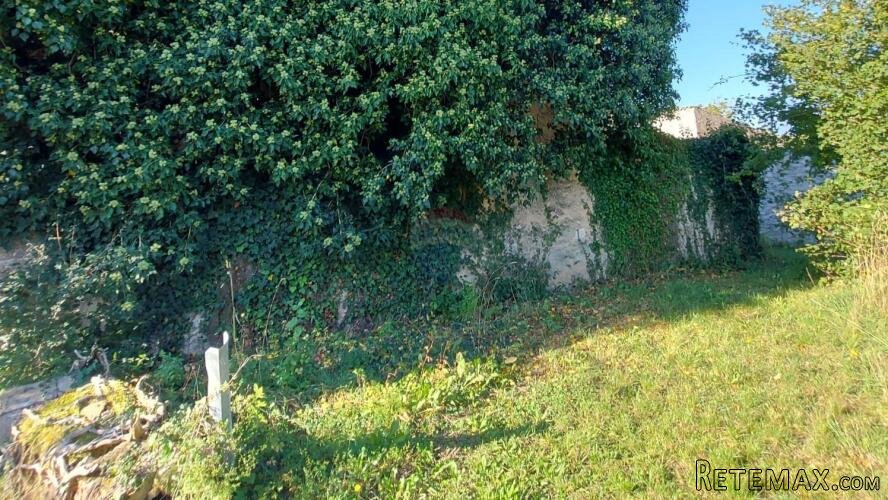 GRAČIŠĆE, okolica - stara kamena kuća sa 6880 m2 dvorišta - 3