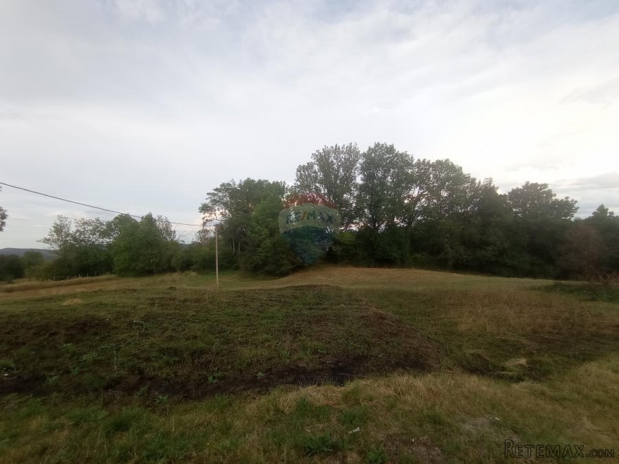 Vrbovsko, Trnova Poljana, poljoprivredno zemljište 5947 m2 - 4