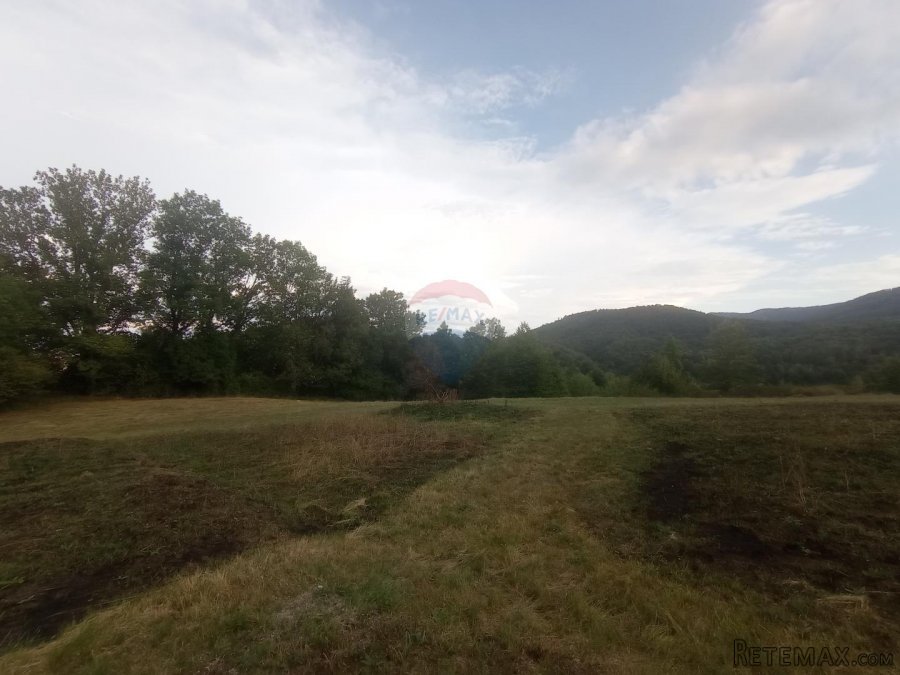 Vrbovsko, Trnova Poljana, poljoprivredno zemljište 5947 m2 - 5