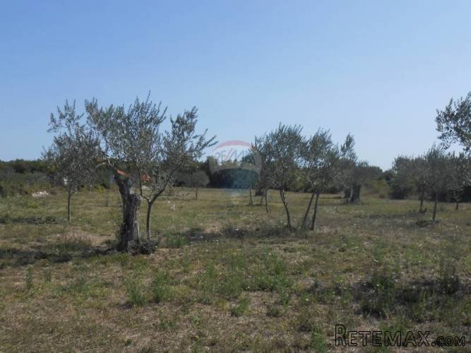 Istra, okolica Fažane, poljoporivredno zemljište sa... - 4