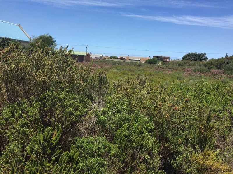 Bettys Bay Vacant Land, Bettys Bay - 2