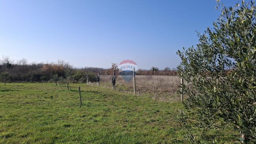 Istra,Novigrad,okolica-Poljoprivredno zemljište 5217 m2 - 2