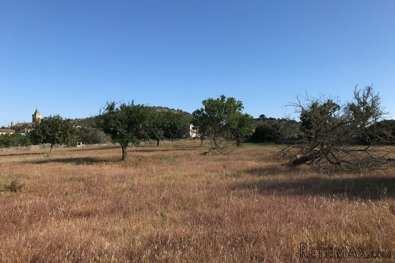 Nice plot by Son Carrio with view to.. - 2