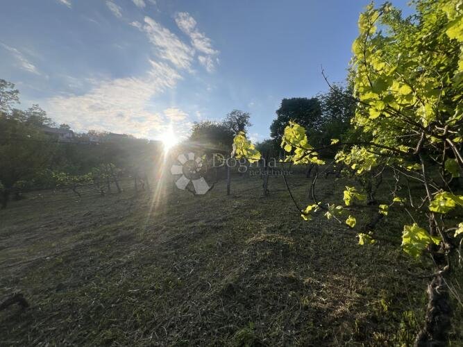 ČUČERJE – Poljoprivredno zemljište s pogledom i objektom 175 - 3
