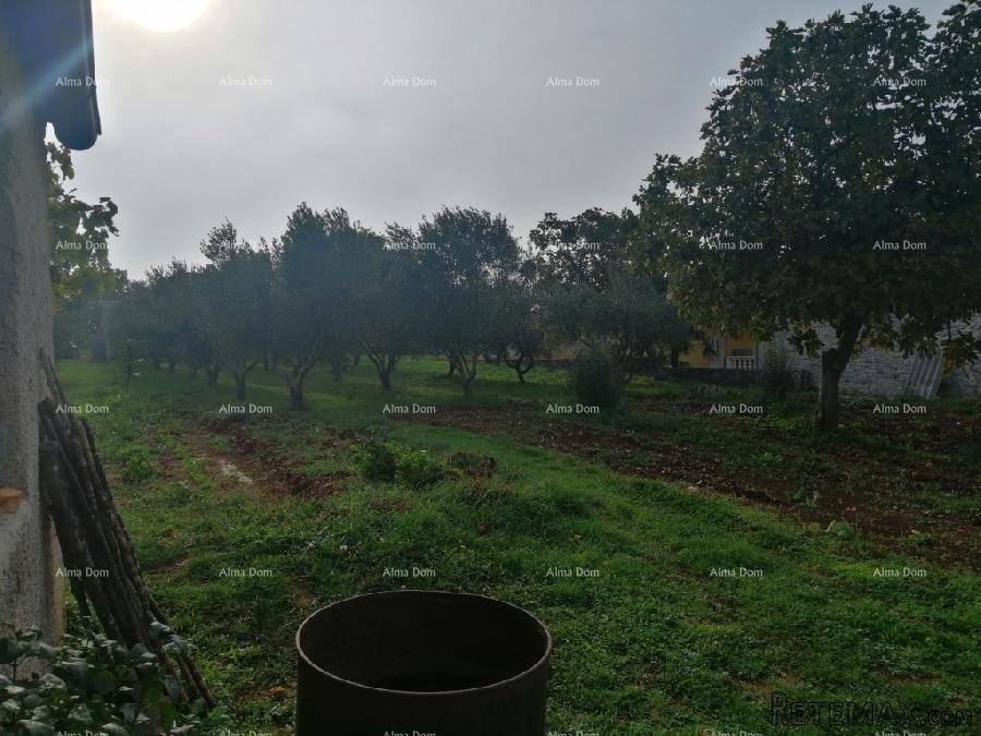 Građevinski teren sa 3 manja legalizirana objekta. Vareški. - 14