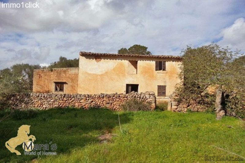 Campos: country estate, plot, land for..