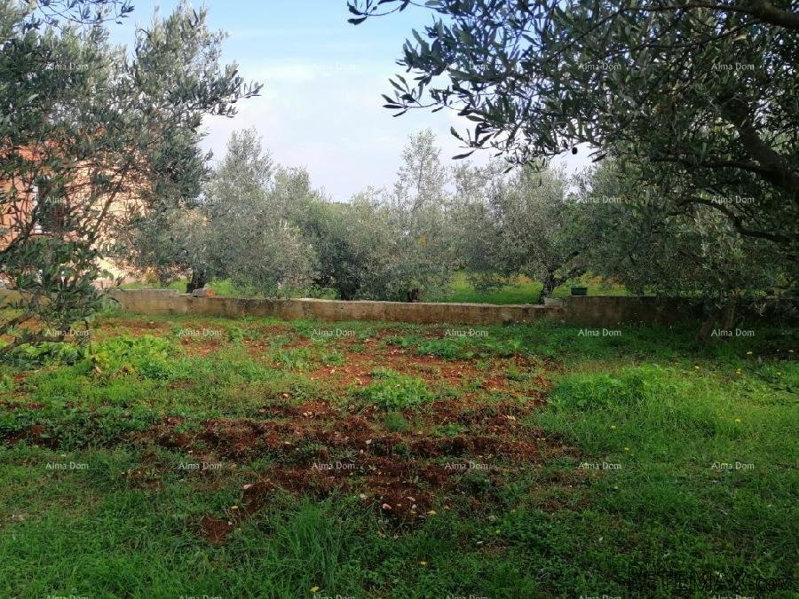 Građevinski teren sa 3 manja legalizirana objekta. Vareški. - 17