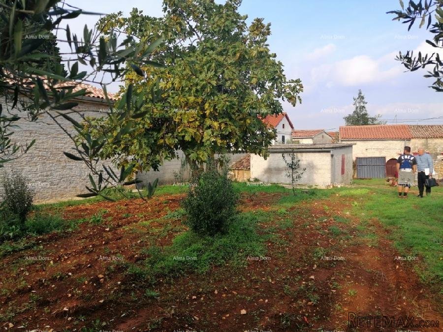 Građevinski teren sa 3 manja legalizirana objekta. Vareški. - 19