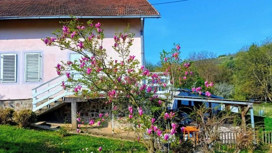 Prodajem kucu u Artiljevu,Sremska Kamenica,Novi Sad - 3