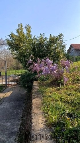 Prodajem kucu u Artiljevu,Sremska Kamenica,Novi Sad - 4