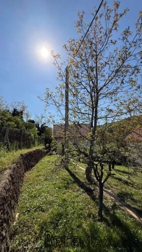 Prodajem kucu u Artiljevu,Sremska Kamenica,Novi Sad - 5